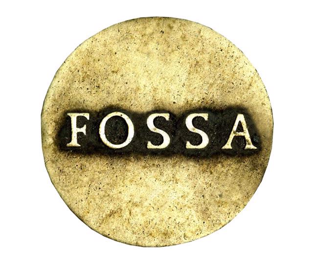 Moneda encontrada en La Fosa Fastigata